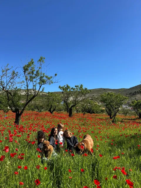 WhatsApp Image 2026 04 24 at 13.24.48 (5)